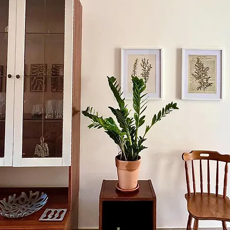 Apartment La Casa Dell'artemisia